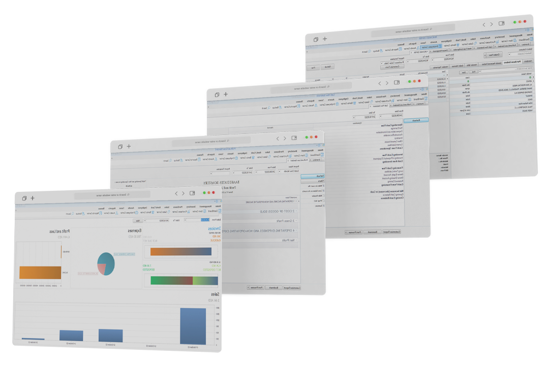 Customs Screenshot of InfoGuard ERP Software